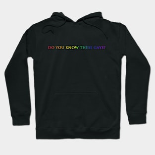 Do you know these Gays? (rainbow) Hoodie